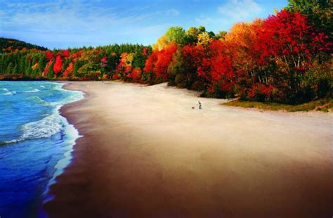 Fall Color Tours Upper Peninsula - Explore Western UP | Michigan beaches, Fall in michigan, Pure ...