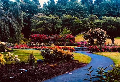 Burnaby Mountain Park Is The Perfect Stop While The Weather Is Nice - Indie88