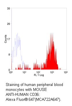 CD36 Antibody (Thrombospondin Receptor) | Bio-Rad