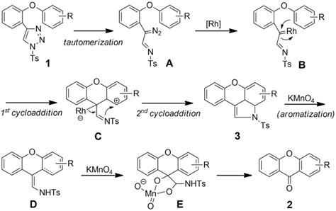 Scheme 3. Proposed pathways for the synthesis of xanthone (2) from ...