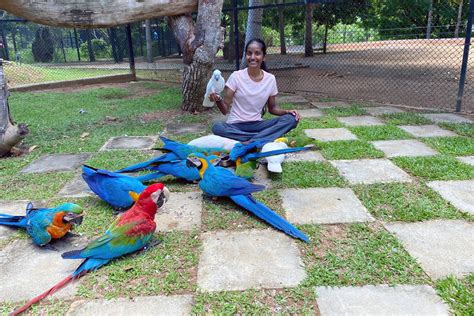 Birds Park Hambantota