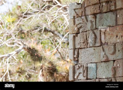 Copan Honduras - Sculptures from the tomb of King Yas Pasaj Chan Yopaat ...