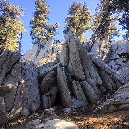 Mount San Jacinto State Park and Wilderness (Idyllwild) - 2018 All You Need to Know Before You ...