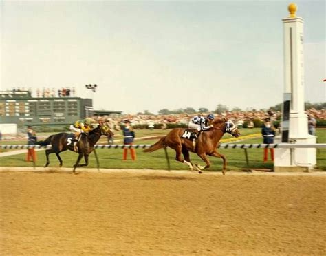 Secretariat and Sham in the 1973 Kentucky Derby | Horses, Skeet ...