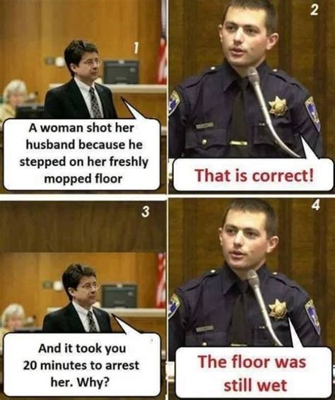 Police Humor (44 pics)