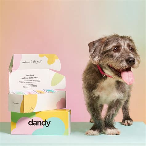 dandy Review - Must Read This Before Buying