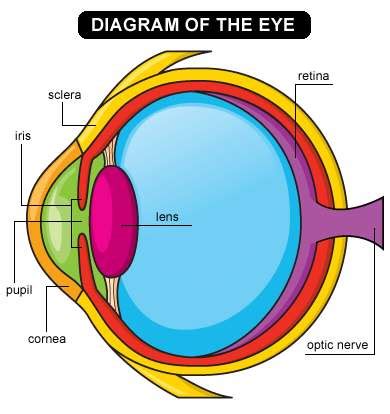 Simple eye diagram