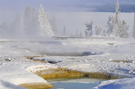 Frozen Tundra Photograph by Anna Sullivan - Fine Art America