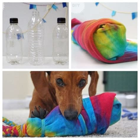 4 Best Dog Water Bottle Toys + DIY Versions Too!