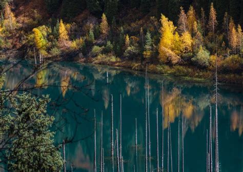 Lake Kaindy, Kazakhstan: A Travel Guide to the Famous Sunken Forest