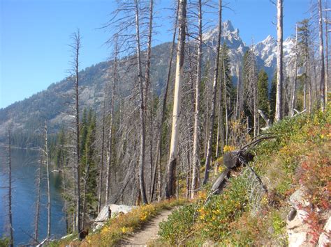 THE ROAD TAKEN : Hiking Jenny Lake: Sept 19