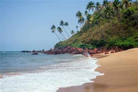 Cola Colva Beach in Paradise Goa Copyspase Stock Image - Image of palolem, destination: 159390059