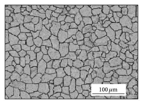 Optical micrographs of microstructures of AISI 316L austenitic ...