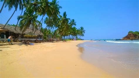 Mirissa Beach - Sri Lanka | Lakdasun Trips - Travel Guide Blog ...