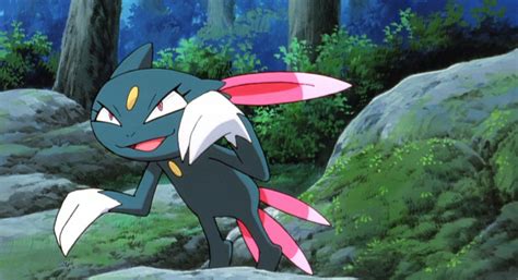 Vicious' Sneasel - The Pokémon Wiki