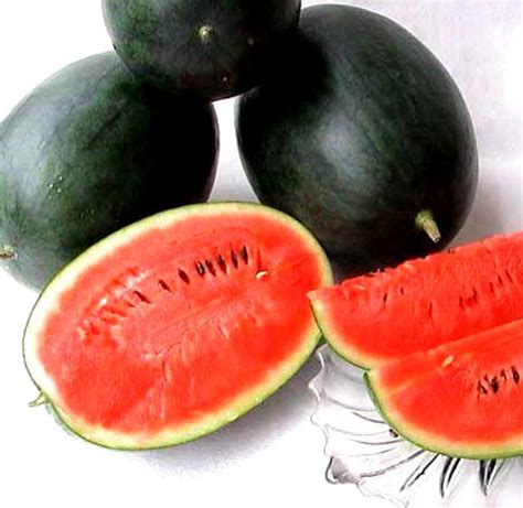 15 Seeds Black Diamond Watermelon! | Watermelon seeds, Rare seeds ...