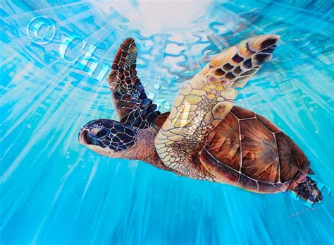 Original Hawaiian Sea Turtle Art Watercolor Painting Gemstone Paints Aloha Ocean Water Nature ...