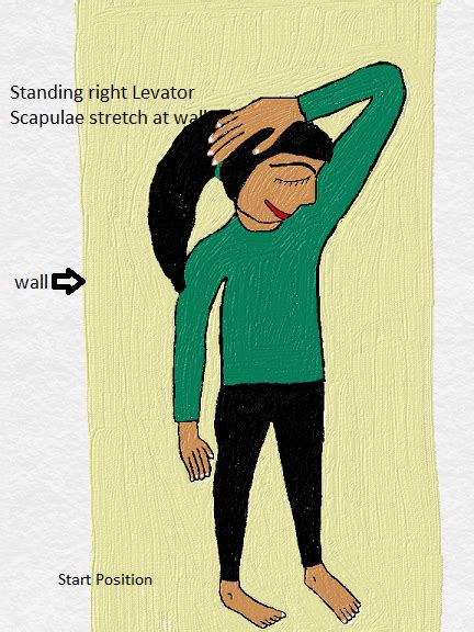 Levator Scapulae Stretch - StableMovement Physical Therapy