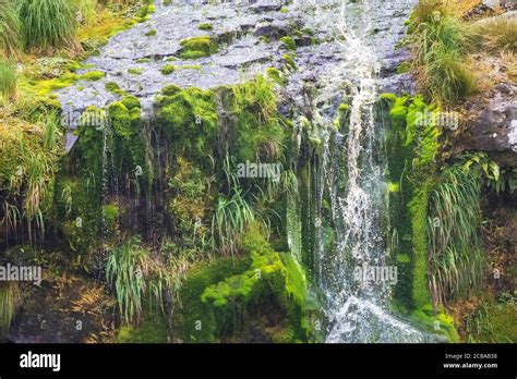 Waterfall on Antipodes Island, part of the Subantarctic Islands of New Zealand, New Zealand ...