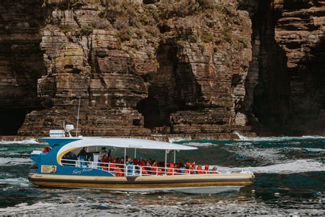 Best Tasman Island Cruise Tours from Hobart, Tasmania (2024)