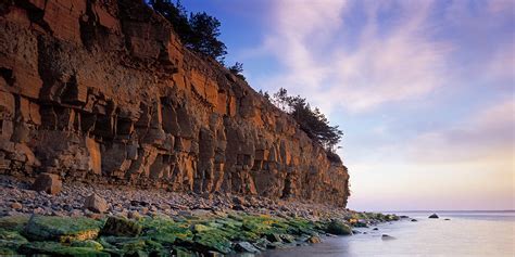 Estonian Nature Guide | Ferry Travel To Estonia | DFDS