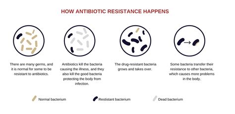 Antibiotic Resistance - VIGILINT