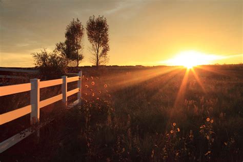 Sunrise Over Farm Mural