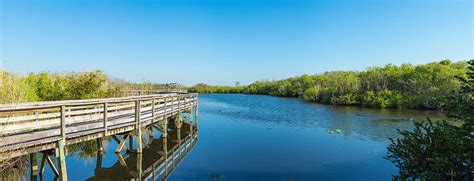 Anhinga Trail Boardwalk, Everglades Photograph by Panoramic Images ...