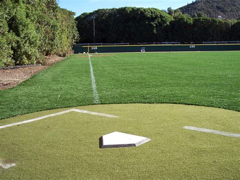 Baseball/Batting Cage Turf | Photo Gallery | Synthetic Turf International