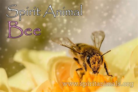 Bee - Spirit Animal Meaning and Symbolism - Spirit Animals