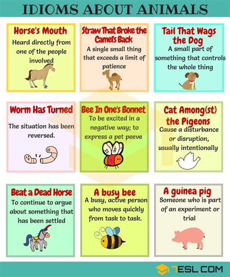 Idioms with animals