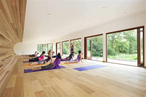 Sublime Yoga Studio By Blue Forest Treehouse Design