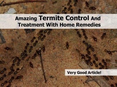 Termite Bites: Termite Bites Treatment