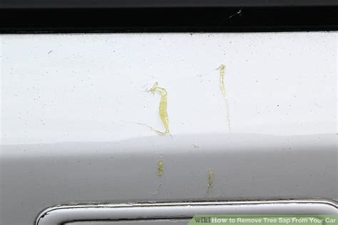 3 Ways to Remove Tree Sap From Your Car - wikiHow