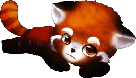 Red Panda PNG Clipart | PNG All