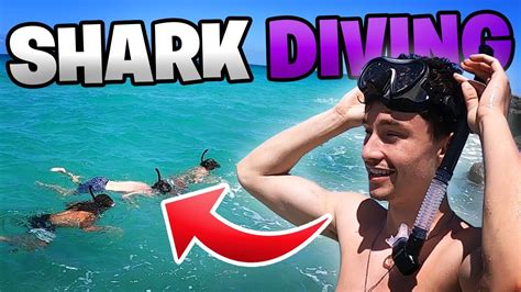 SCUBA DIVING for SHARKS and FISH in MIAMI! - YouTube