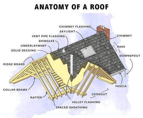 Parts of a Roof Explained (Diagram Included) - Homenish