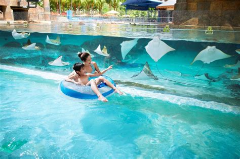 Befriend marine animals, enjoy thrilling rides at Adventure Cove Waterpark | ABS-CBN News