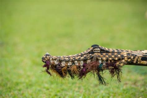 Sepik River Crocodile and Arts Festival - Paga Hill Estate - Port ...