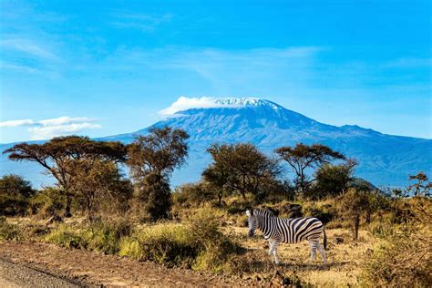 Hiking Mount Kilimanjaro? Read This Before You Start Planning.