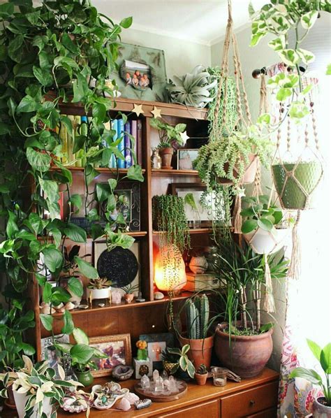 Diy Home Decor Plants - torage