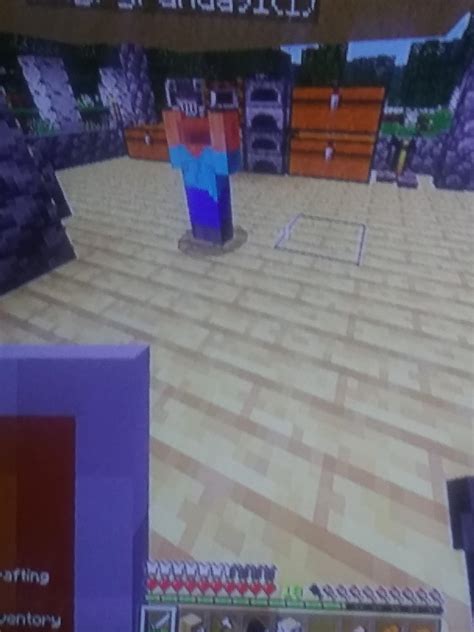 New glitch in bedrock : r/Minecraft