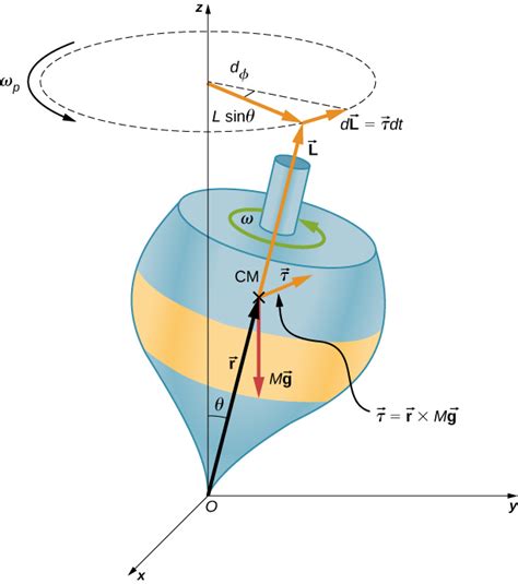 11.4 Precession of a Gyroscope – General Physics Using Calculus I