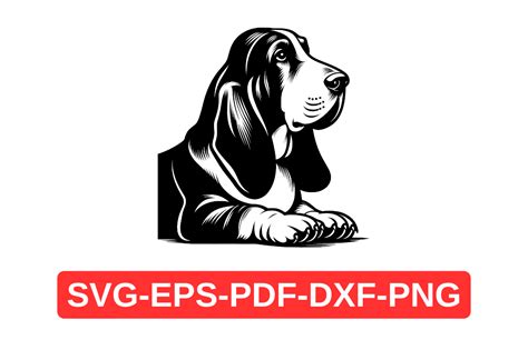 Basset Hound Silhouette SVG Graphic PNG Graphic by Artful Assetsy ...