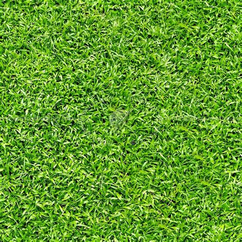 Greengrass Texture Seamless
