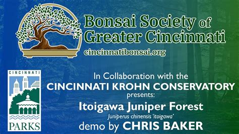 Bonsai Forest Creation Demo by Artist Chris Baker. - YouTube