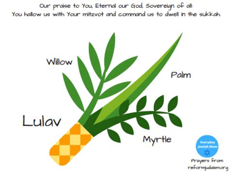 Sukkot Blessing Printables - Lulav & Etrog, Sitting in the Sukkah | Sukkot, Lulav and etrog ...