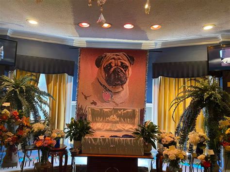 Photos show the extravagant open-casket funeral for a pet pug much ...