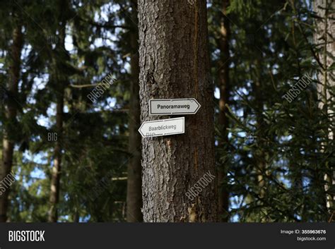 Hiking Trails Black Image & Photo (Free Trial) | Bigstock