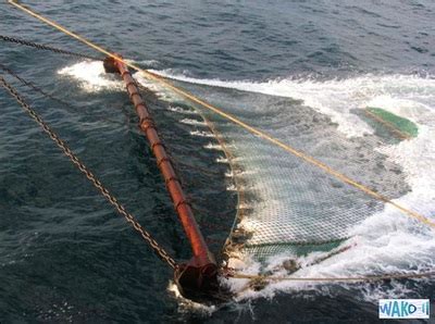 Bottom Trawling - Trawl Gears and Long-Lining